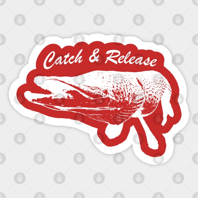 Catch and Release Series, Pike, White color Sticker by BassFishin